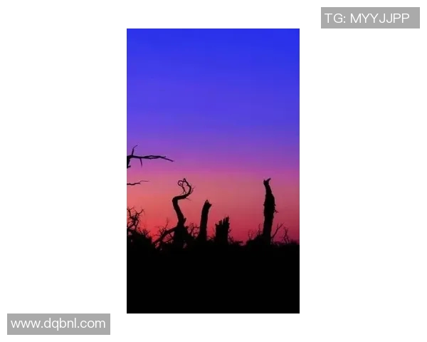 拉影：探索光影交织中的艺术之美与情感表达